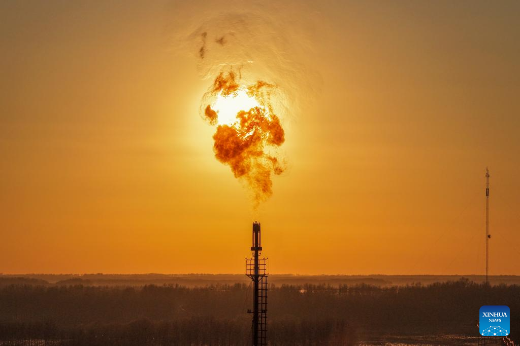 China's Daqing Oilfield surpasses one million tonnes in shale oil output