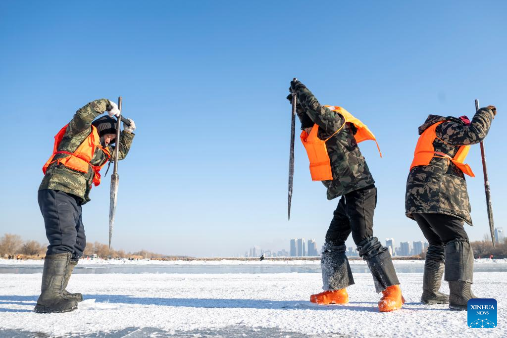 Ice collection underway on frozen stretches of Songhua River in Harbin