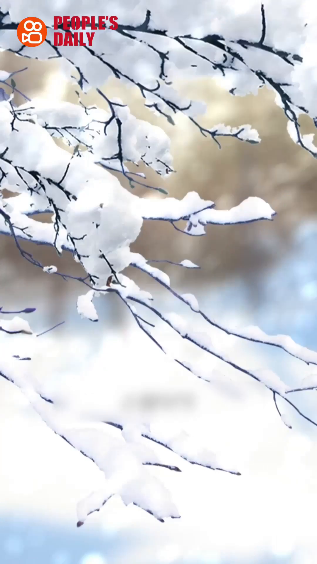 Trending in China | Minor Snow